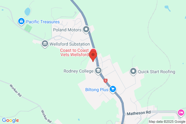 Map for Welly Explorers