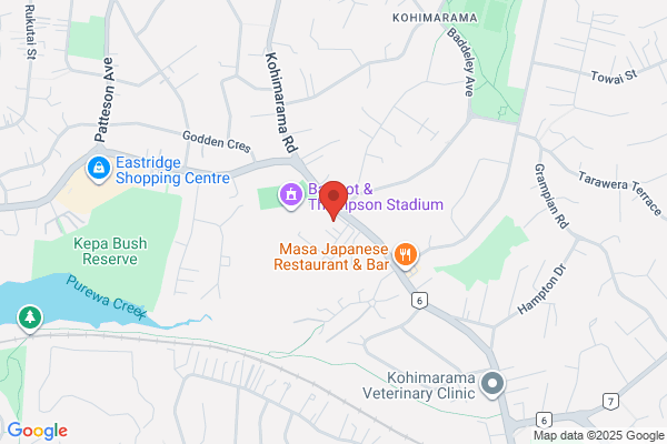 Map for Carol White Family Centre