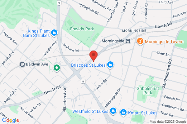 Map for The Montessori Preschool - Mt Albert