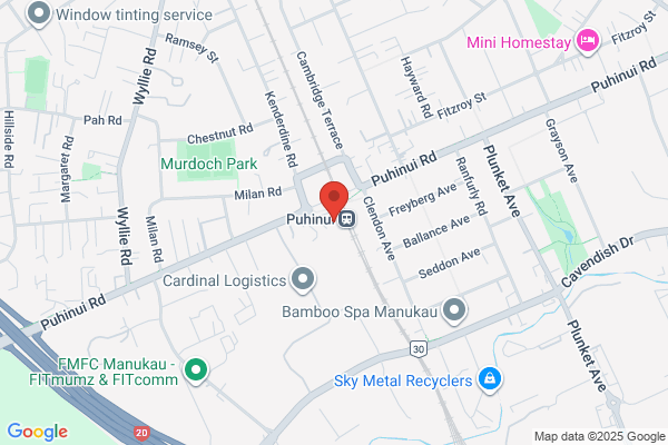 Map for Te Kōhanga Reo Ki Puhinui