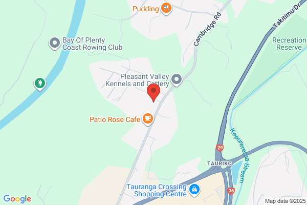 Map for New Shoots Children's Centre Ltd - Tauriko