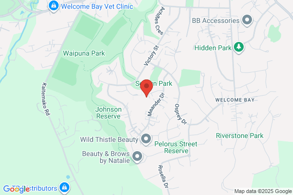 Map for Welcome Bay Free Kindergarten