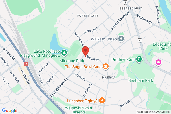 Map for House of Wonder Forest Lake