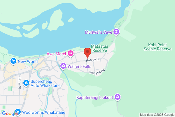 Map for Te Kōhanga Reo o Wairaka