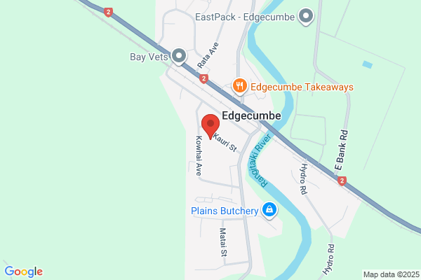 Map for Central Kids Kindergartens - Edgecumbe