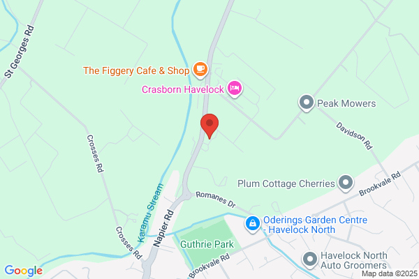 Map for Busy Bees Napier Road