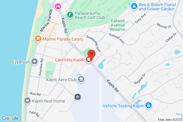 Map for Little Waves Early Learning Centre