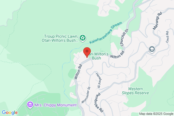 Map for Montessori at Otari Preschool Inc.