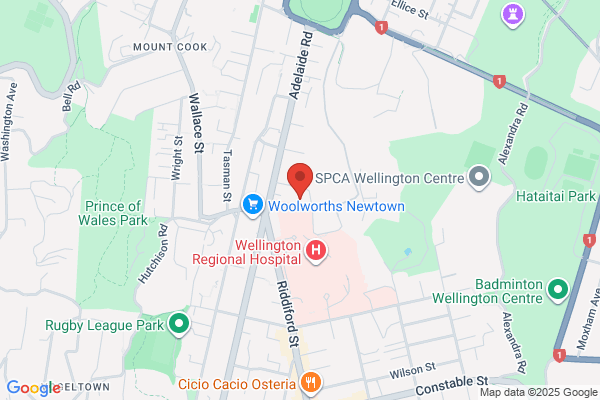 Map for Te Ō Newtown Kindergarten