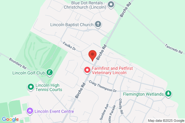 Map for Giggles and Scribbles Early Learning Centre Limited