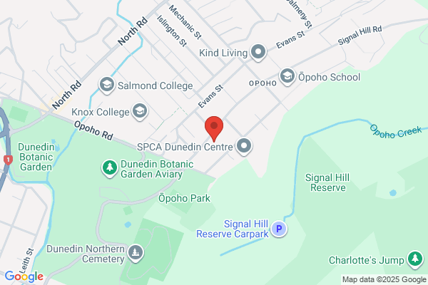 Map for Opoho Playcentre